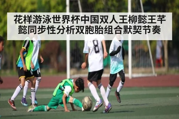 花样游泳世界杯中国双人王柳懿王芊懿同步性分析双胞胎组合默契节奏（NG28）